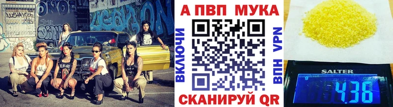 A PVP крисы CK  Лодейное Поле 