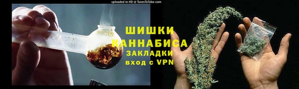 прущие грибы Лихославль