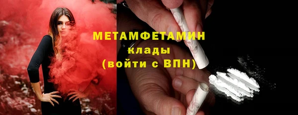 прущие грибы Лихославль