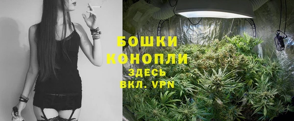 прущие грибы Лихославль