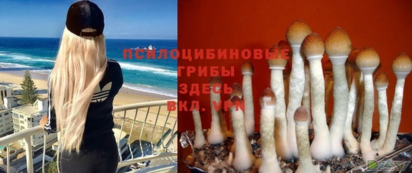 мескалин Липки