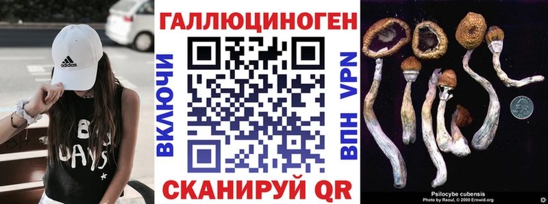 Галлюциногенные грибы Magic Shrooms  закладка  Лодейное Поле 